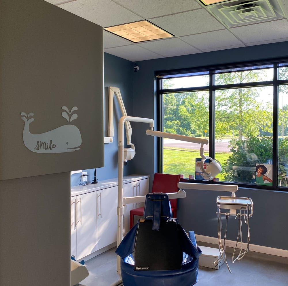 A treatment room at Kasiya Dental, with a window onto the grounds